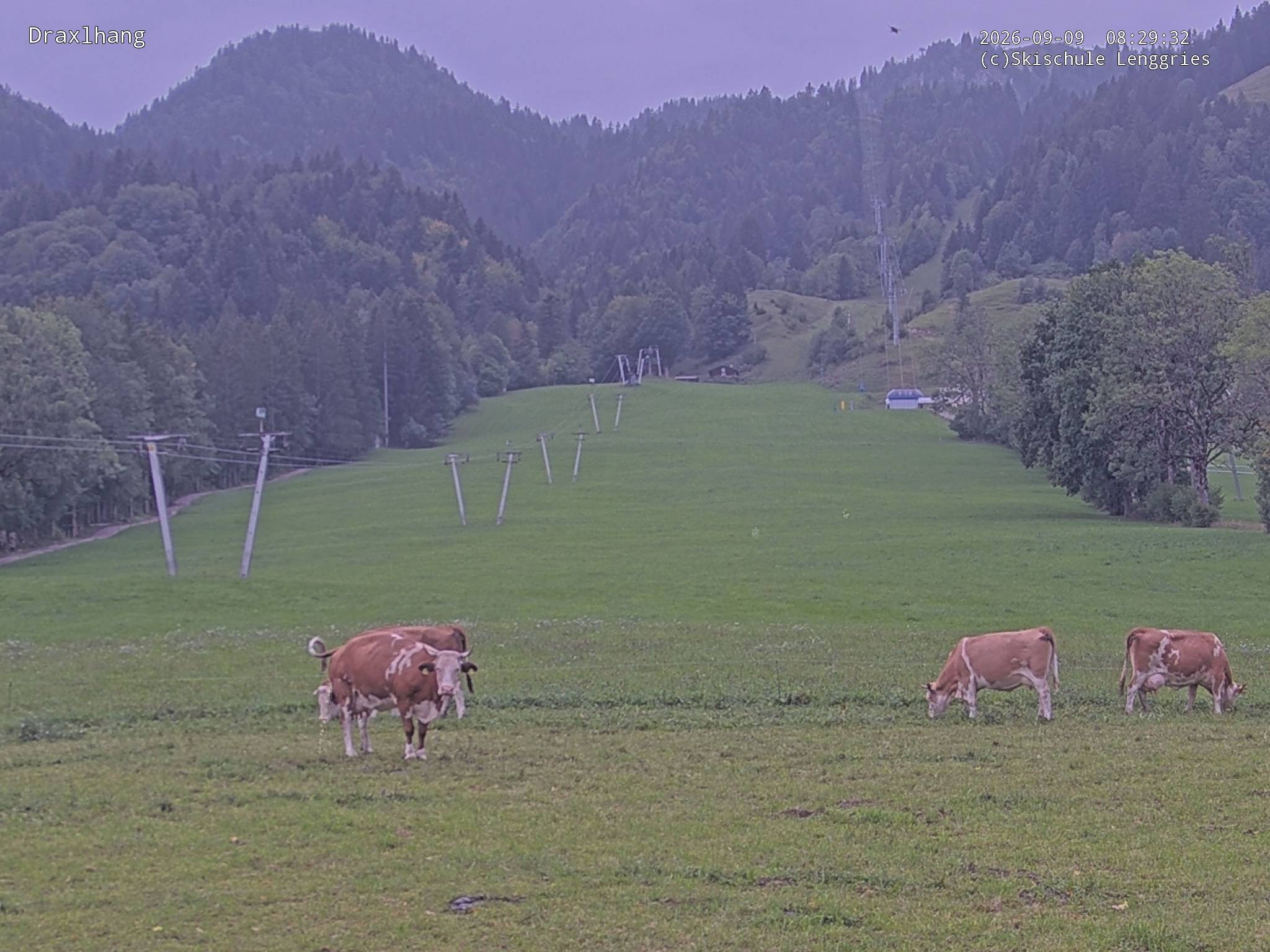 Archiv Foto Webcam Blick auf den Draxlhang