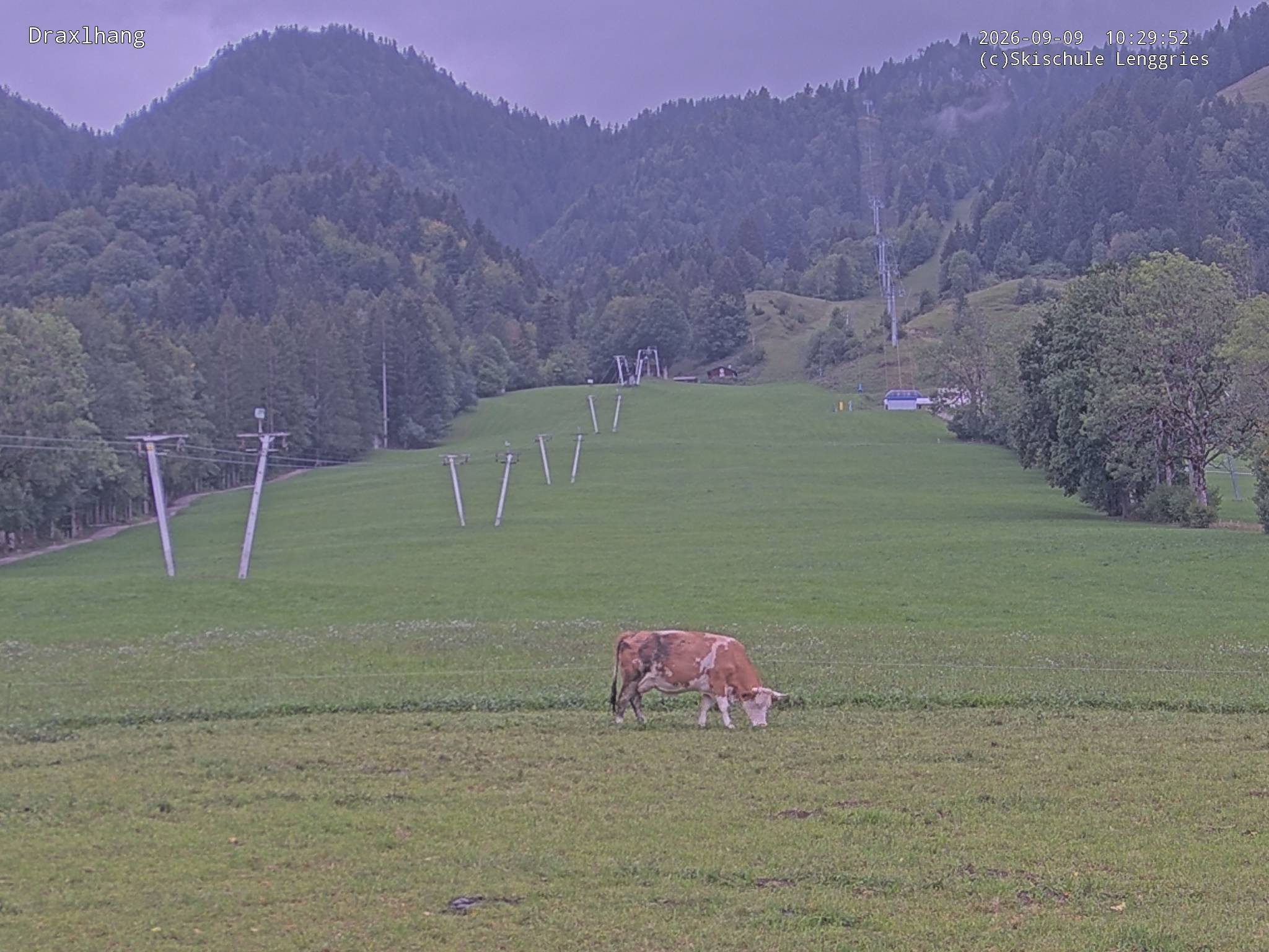 Archiv Foto Webcam Blick auf den Draxlhang