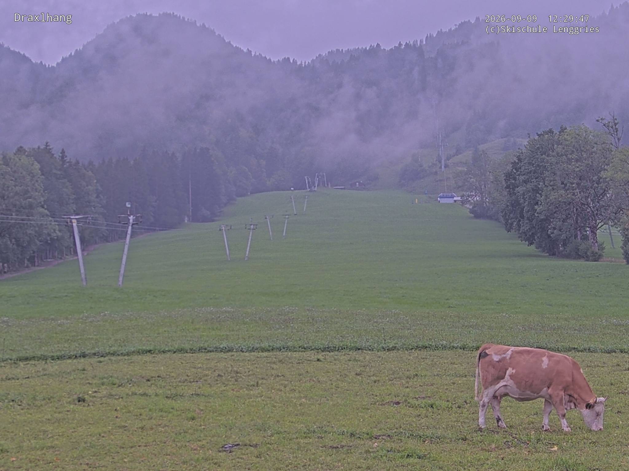 Archiv Foto Webcam Blick auf den Draxlhang