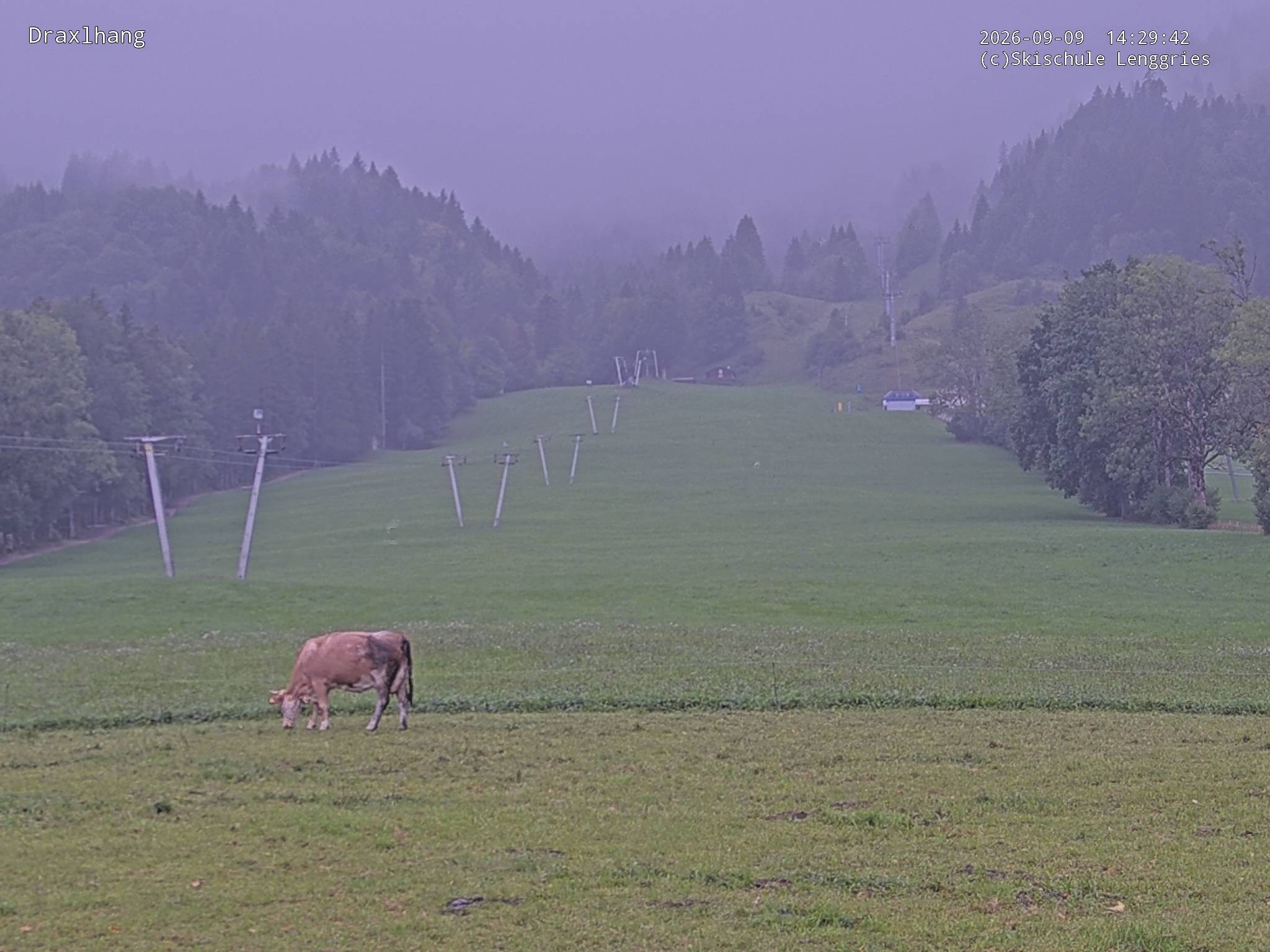 Archiv Foto Webcam Blick auf den Draxlhang