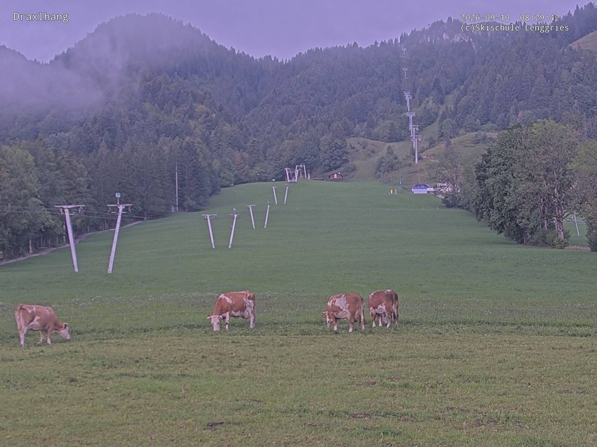 Archiv Foto Webcam Blick auf den Draxlhang