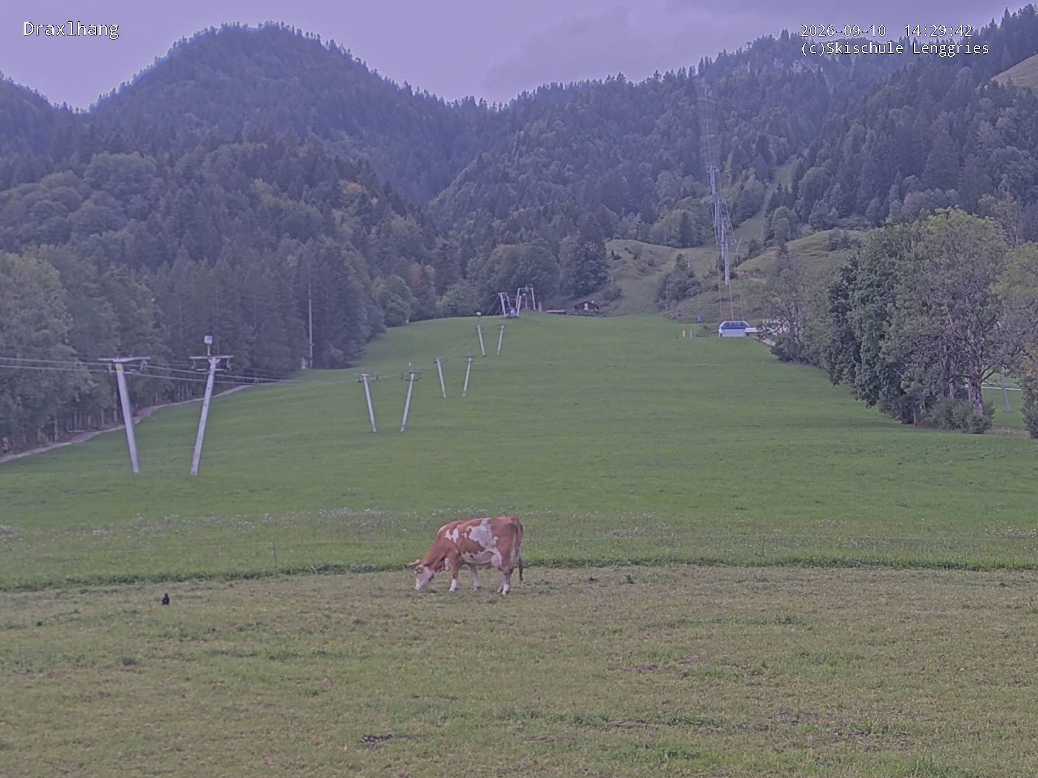 Archiv Foto Webcam Blick auf den Draxlhang