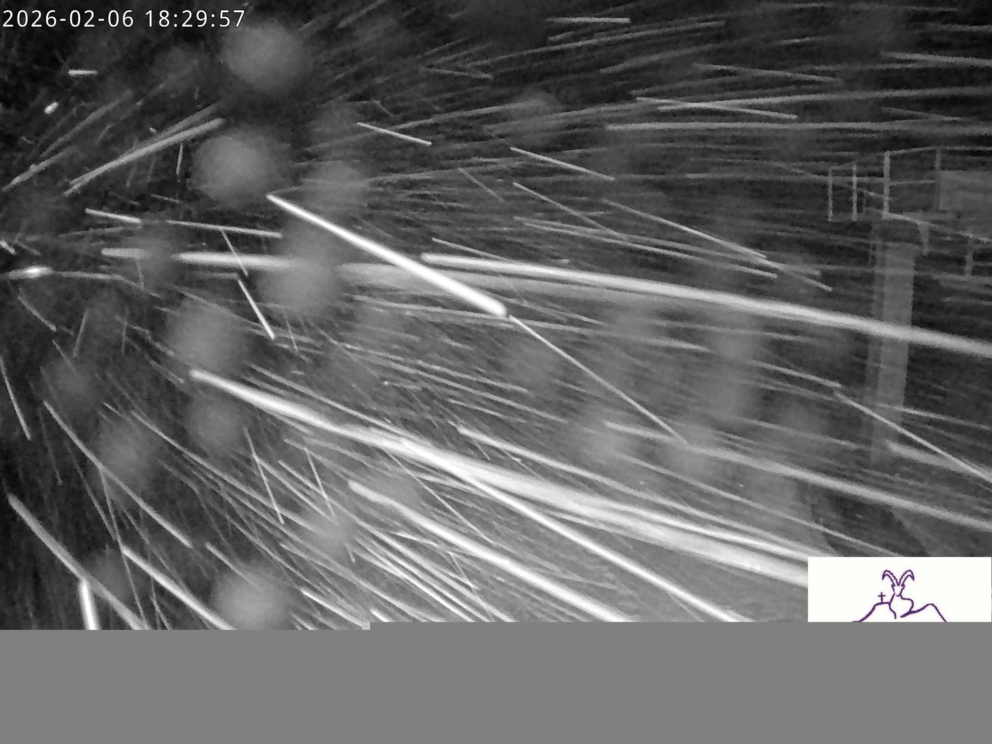 Archiv Foto Webcam Stiealm unterhalb des Latschenkopfes
