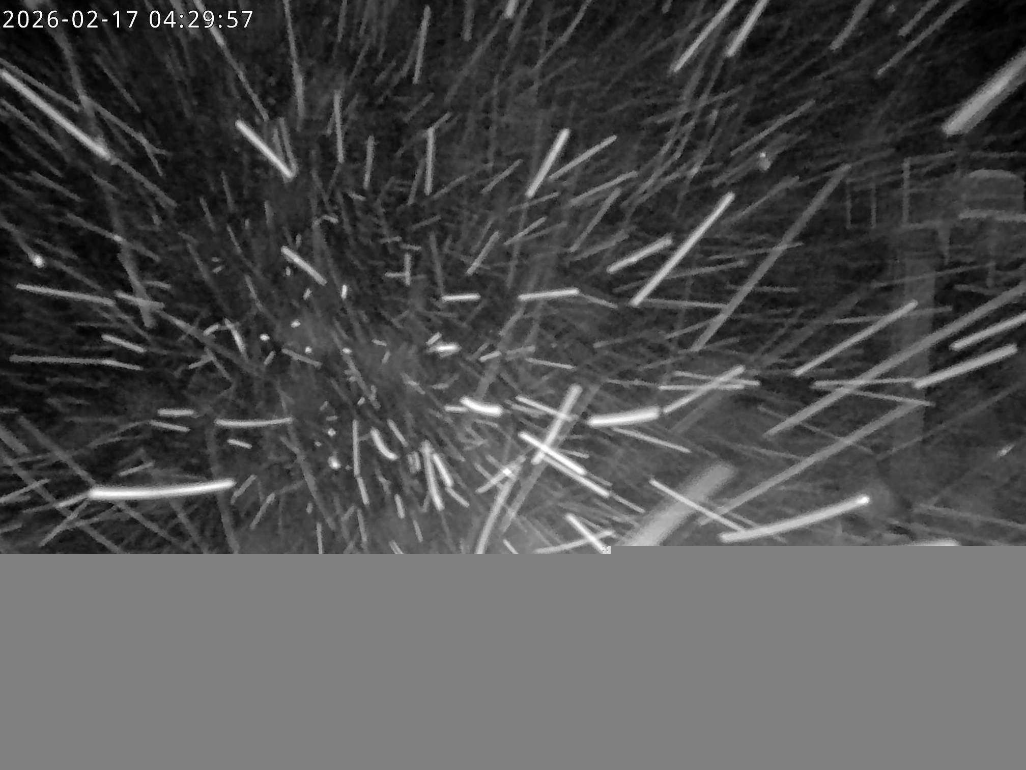 Archiv Foto Webcam Stiealm unterhalb des Latschenkopfes