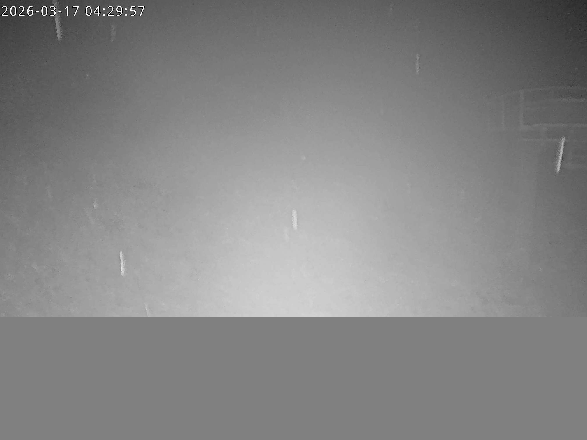 Archiv Foto Webcam Stiealm unterhalb des Latschenkopfes