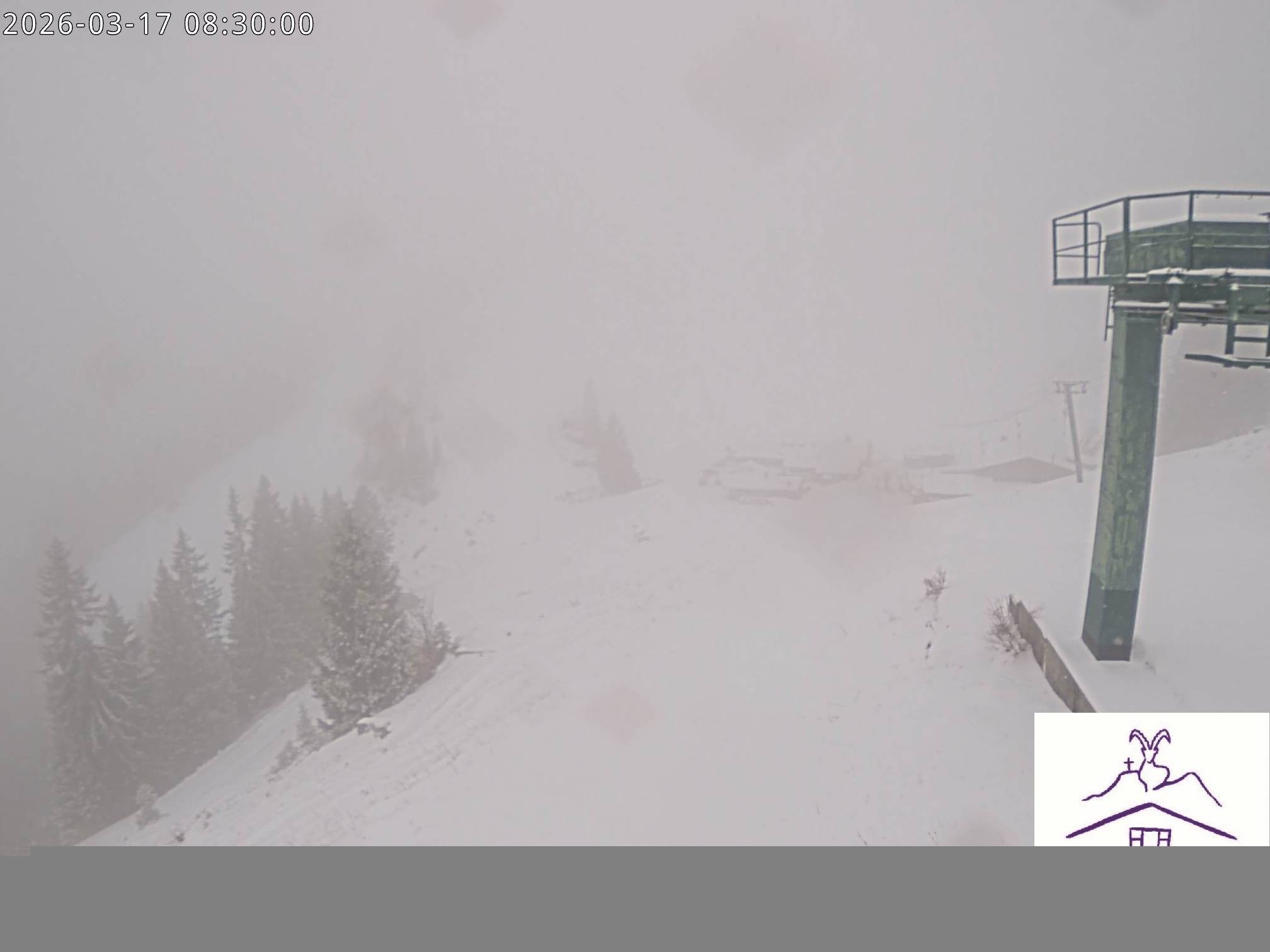 Archiv Foto Webcam Stiealm unterhalb des Latschenkopfes