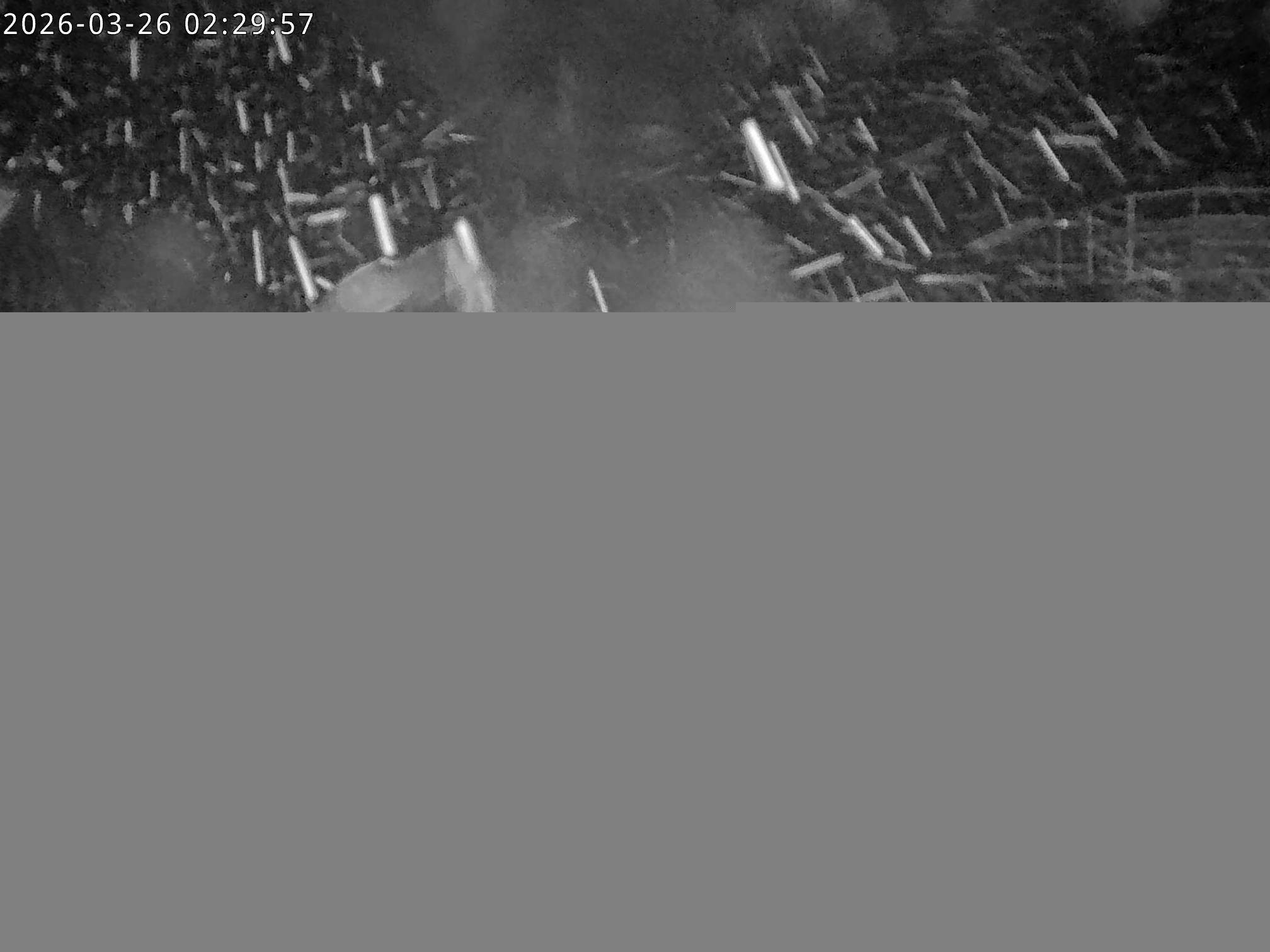 Archiv Foto Webcam Stiealm unterhalb des Latschenkopfes