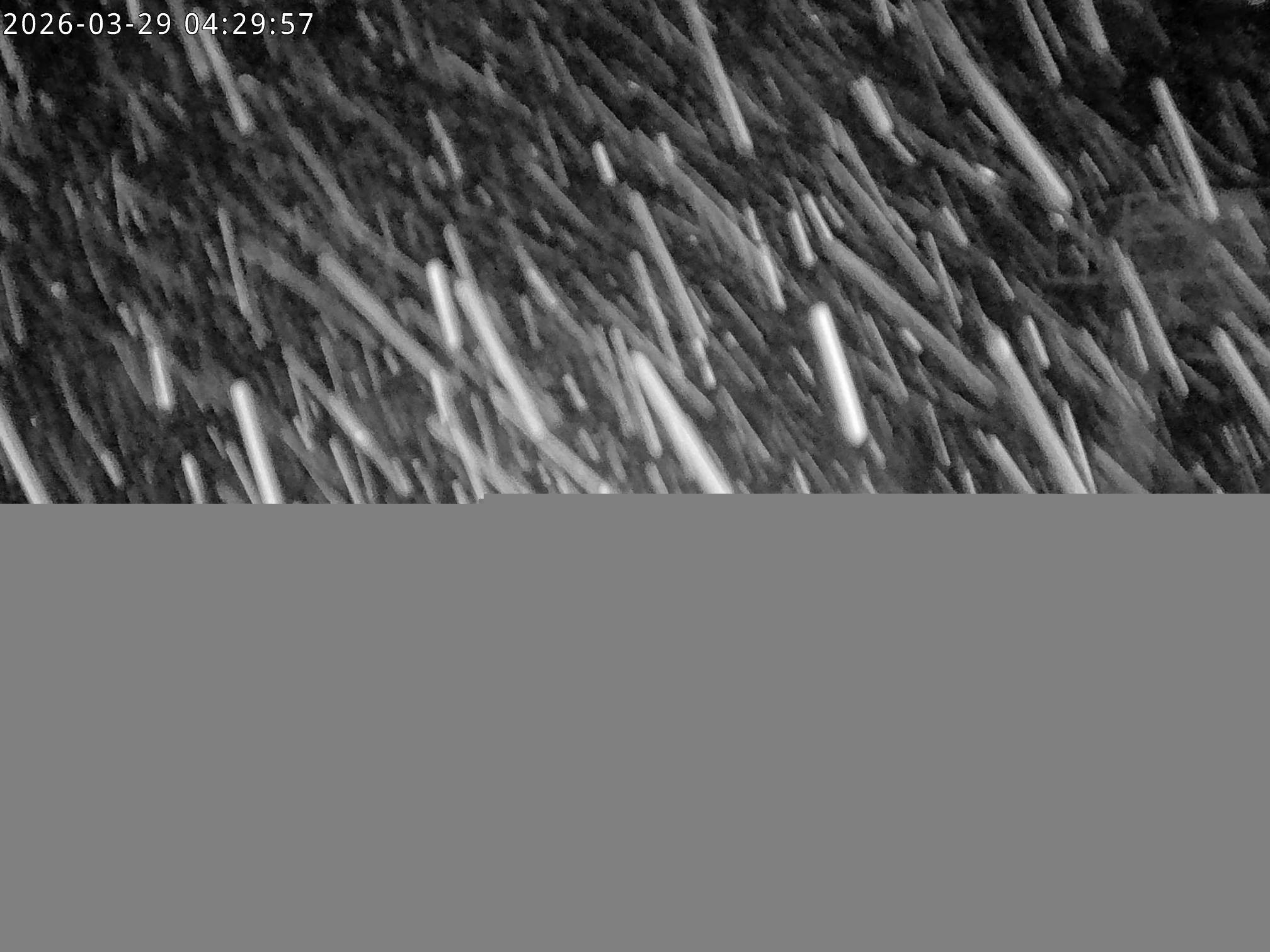 Archived image Webcam Stiealm alp