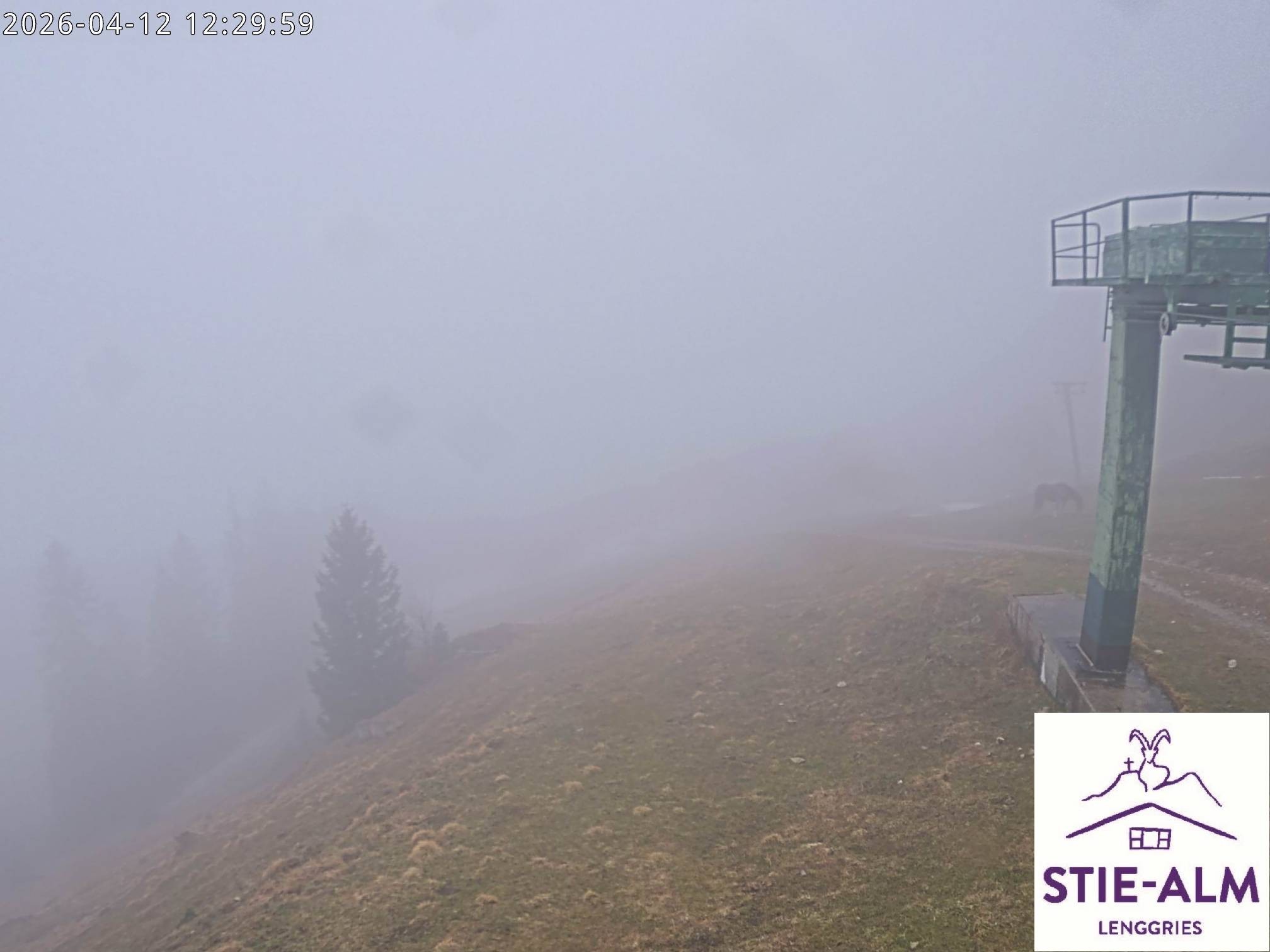 Archiv Foto Webcam Stiealm unterhalb des Latschenkopfes