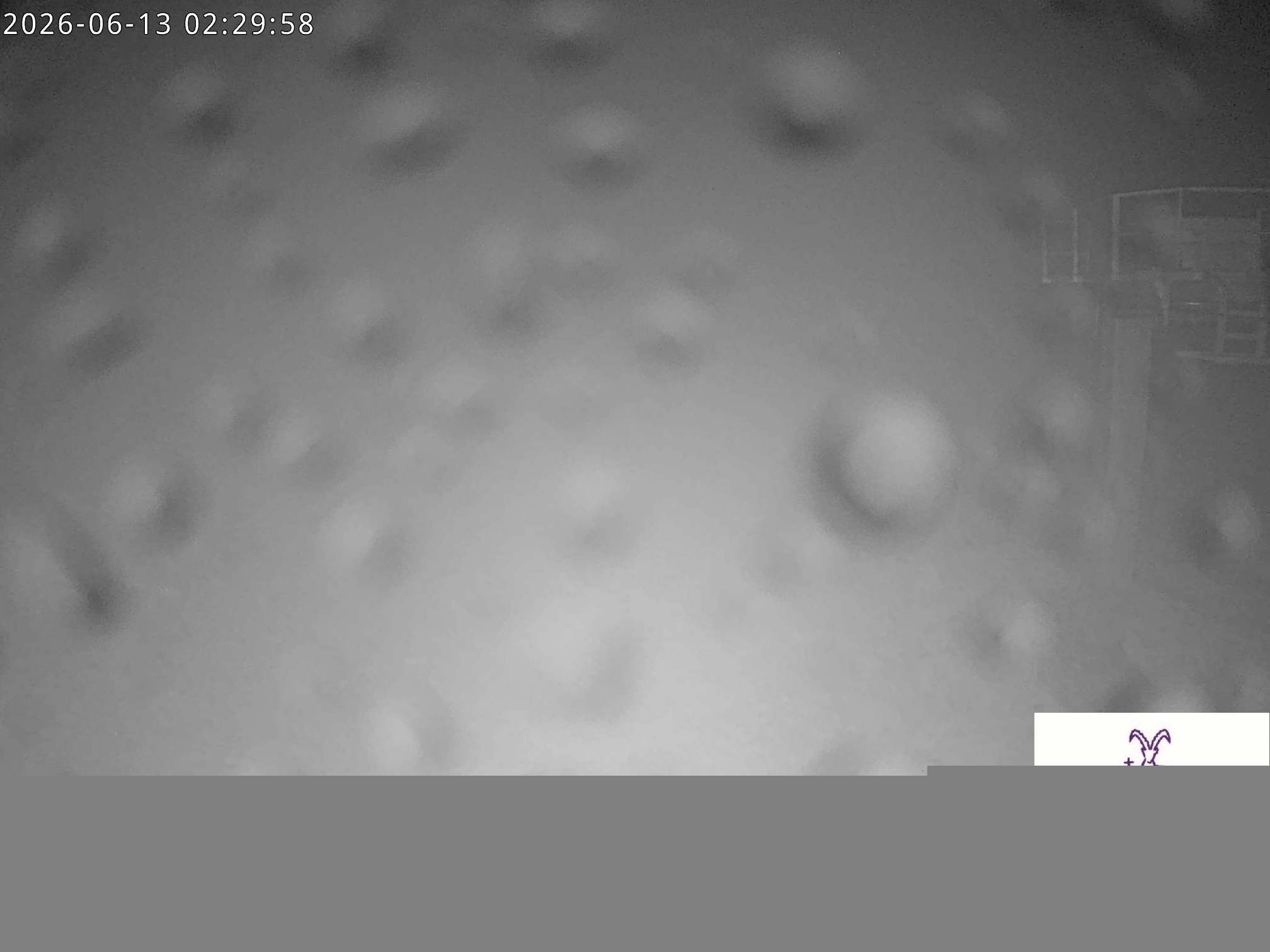 Archived image Webcam Stiealm alp