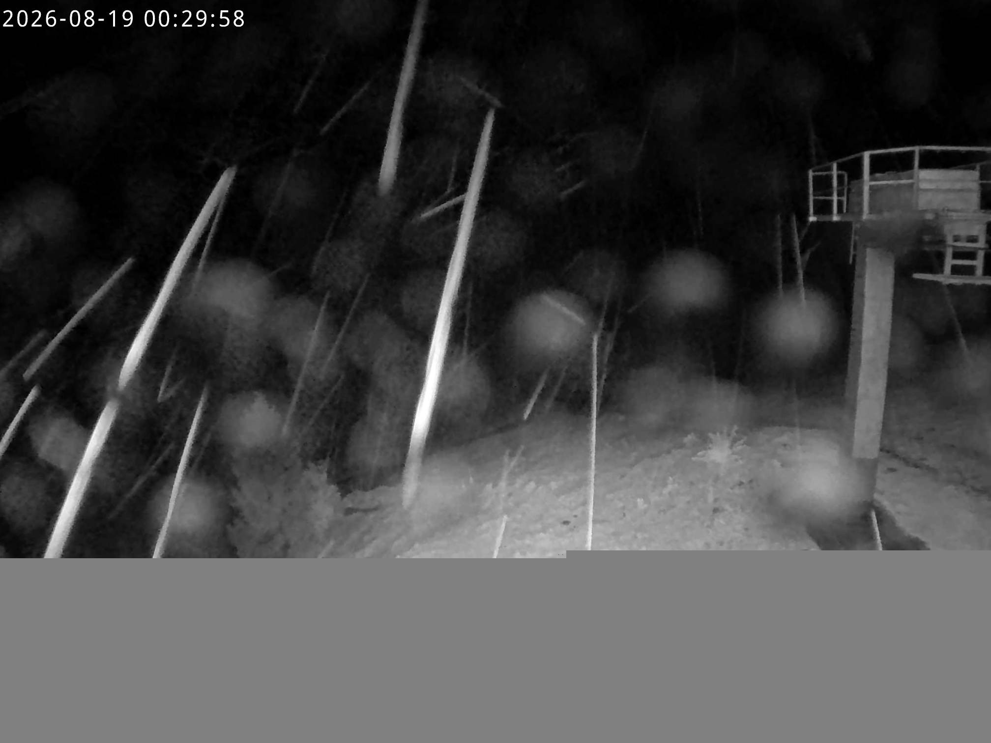 Archiv Foto Webcam Stiealm unterhalb des Latschenkopfes
