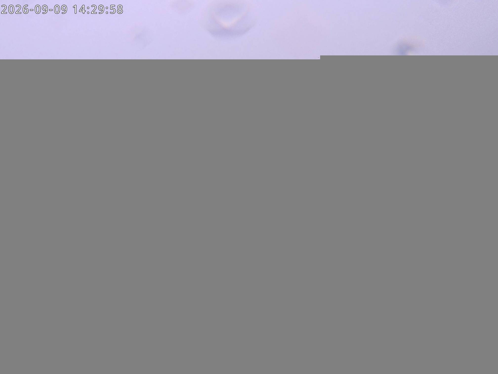 Archiv Foto Webcam Stiealm unterhalb des Latschenkopfes