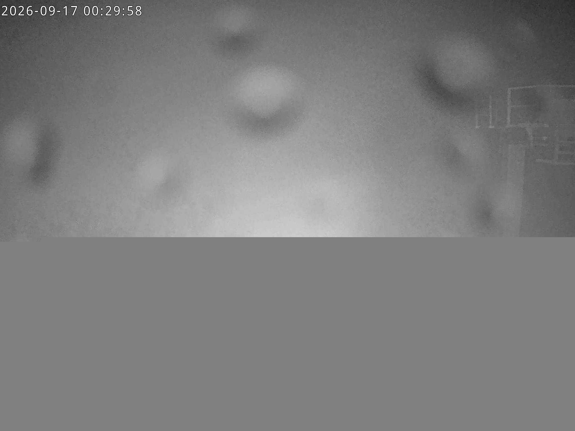Archived image Webcam Stiealm alp