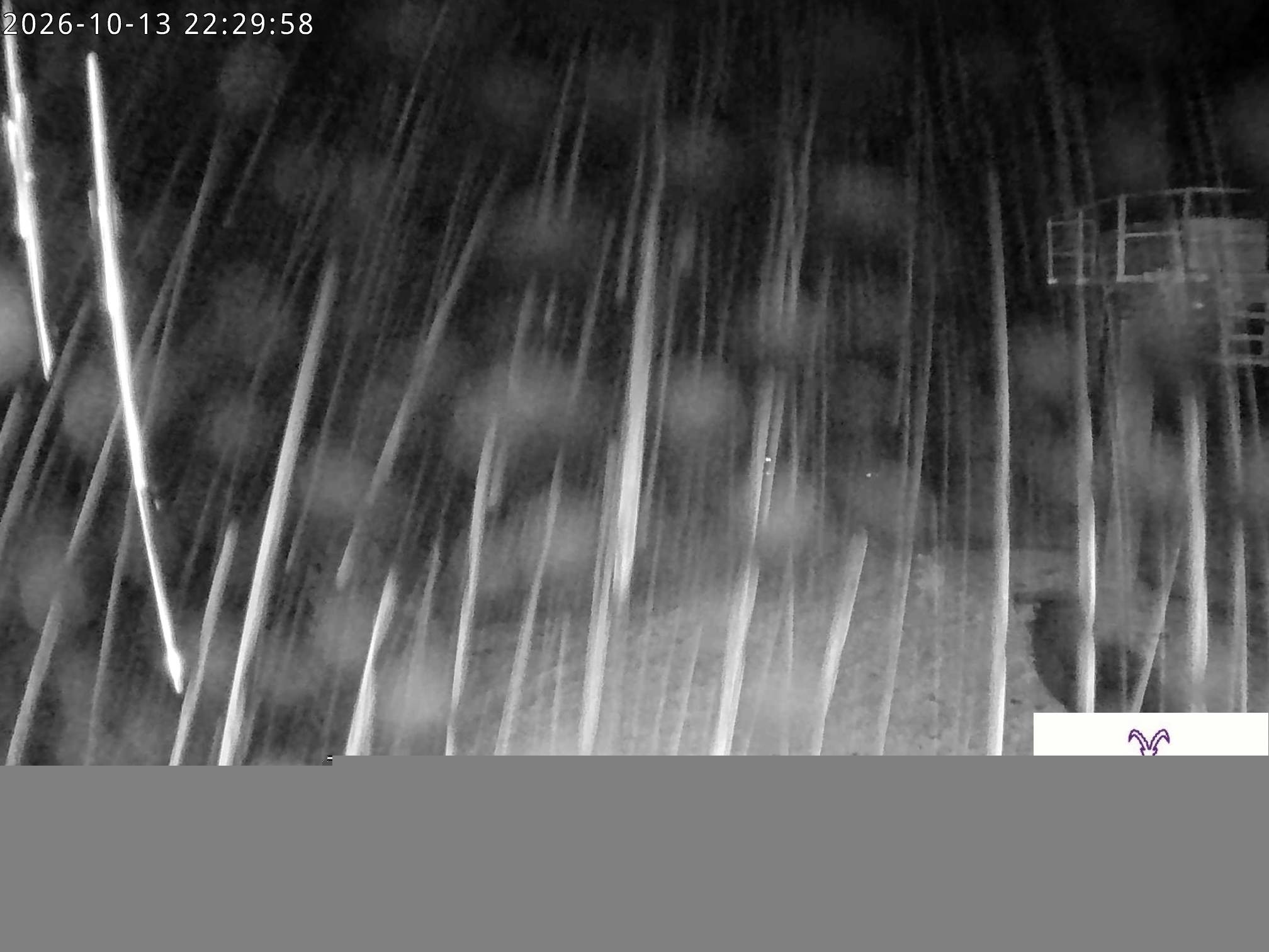 Archiv Foto Webcam Stiealm unterhalb des Latschenkopfes