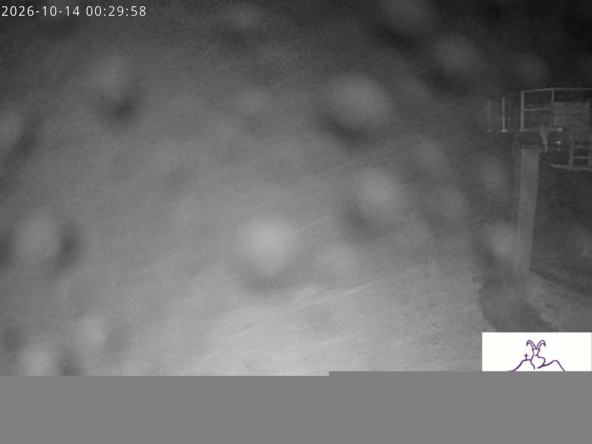 Archiv Foto Webcam Stiealm unterhalb des Latschenkopfes