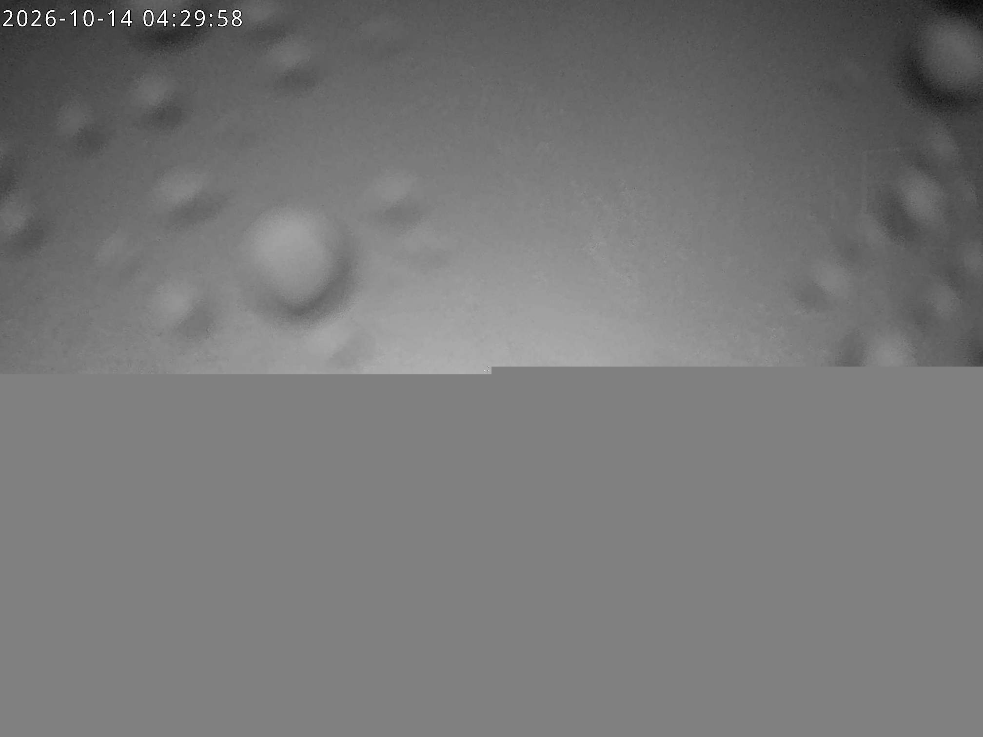 Archiv Foto Webcam Stiealm unterhalb des Latschenkopfes