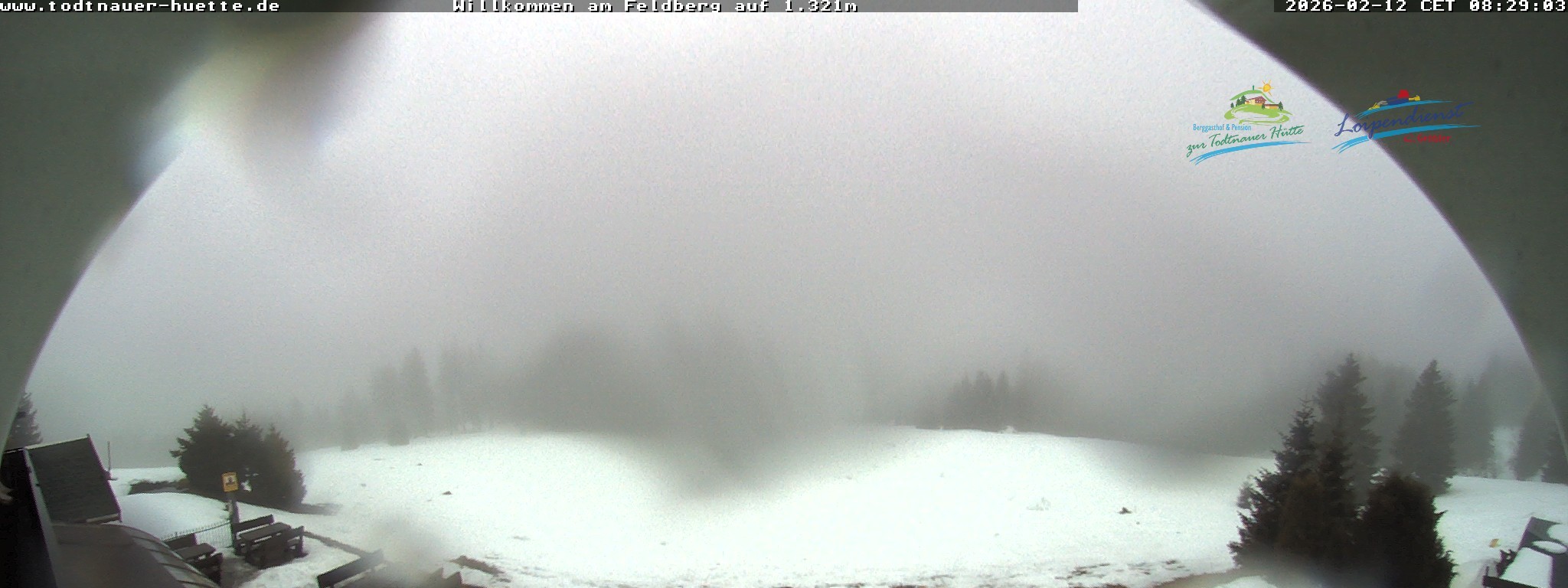 Archiv Foto Webcam Todtnauer Hütte, Schwarzwald