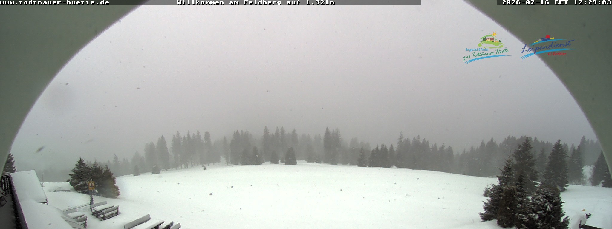Archiv Foto Webcam Todtnauer Hütte, Schwarzwald