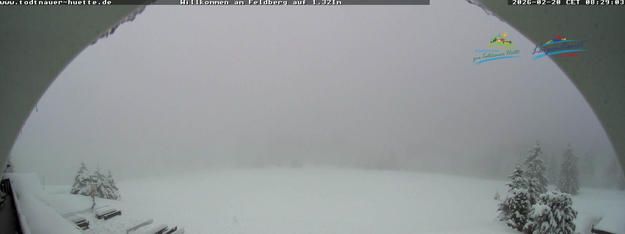 Archiv Foto Webcam Todtnauer Hütte, Schwarzwald