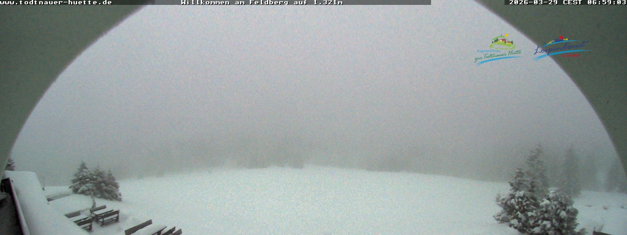 Archiv Foto Webcam Todtnauer Hütte, Schwarzwald