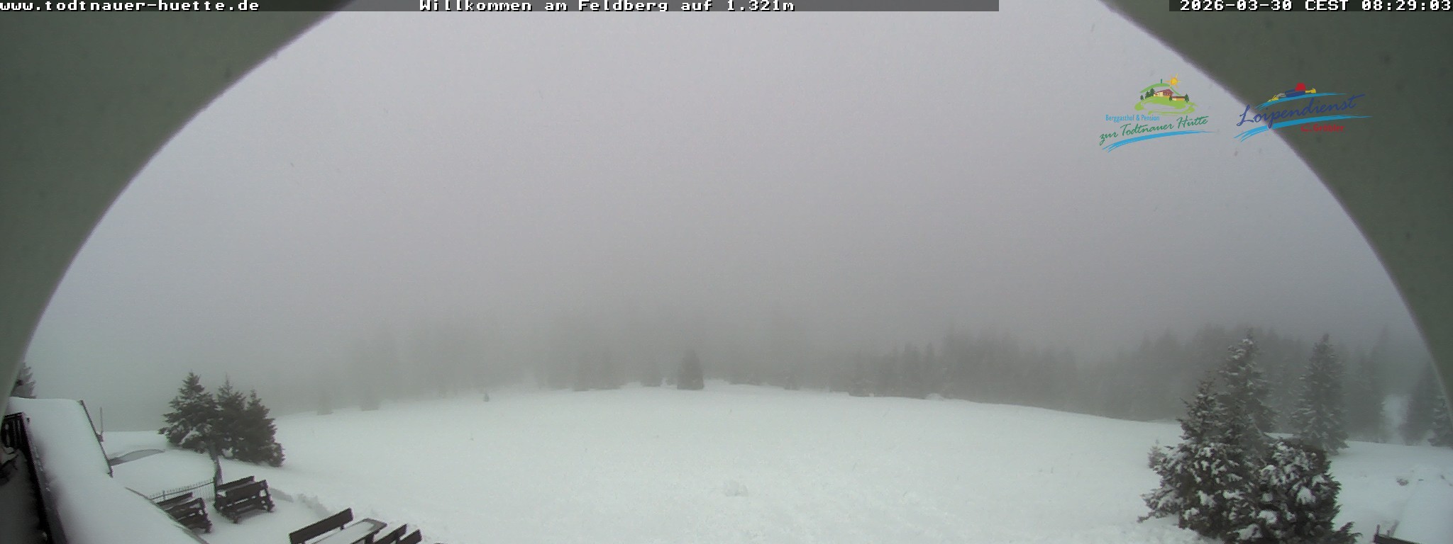 Archiv Foto Webcam Todtnauer Hütte, Schwarzwald