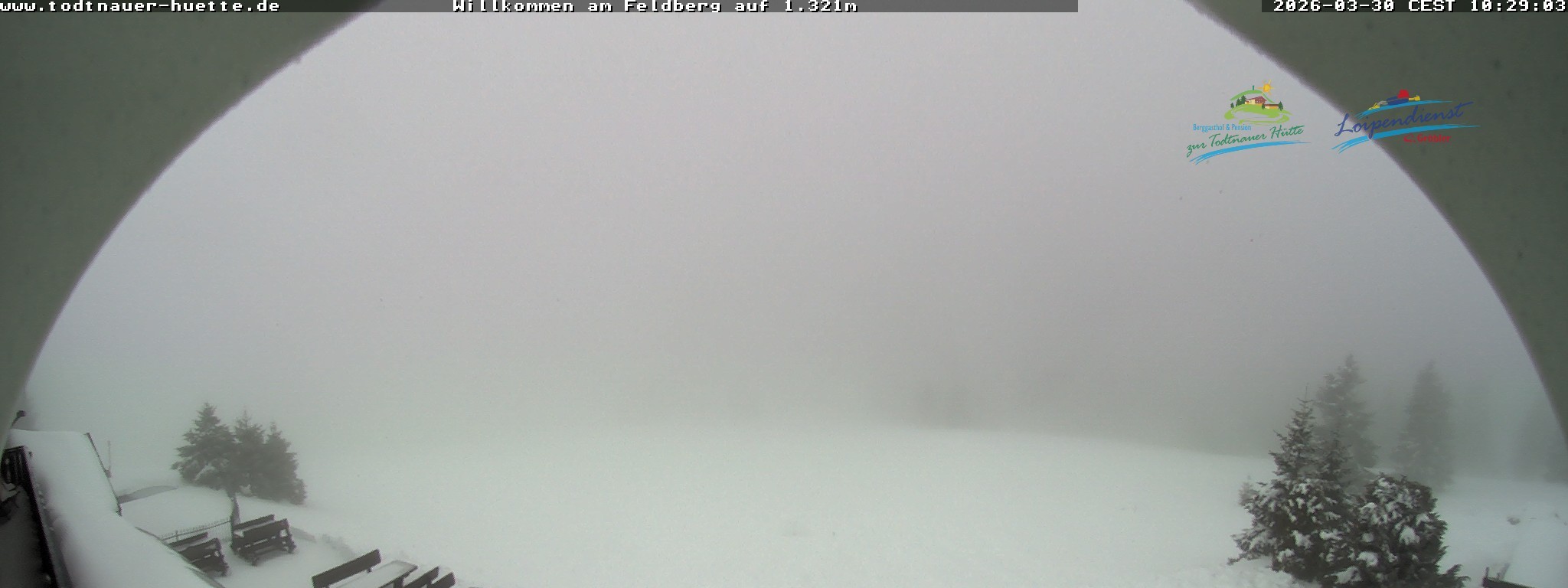 Archiv Foto Webcam Todtnauer Hütte, Schwarzwald