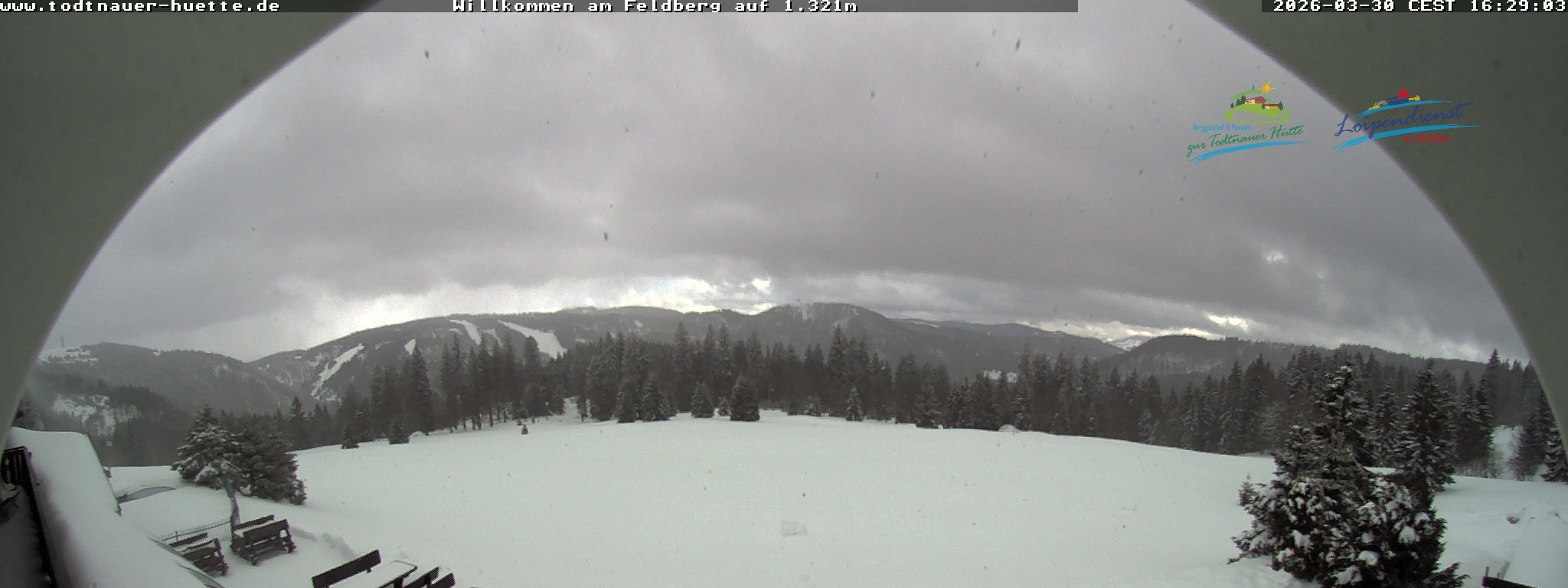 Archiv Foto Webcam Todtnauer Hütte, Schwarzwald