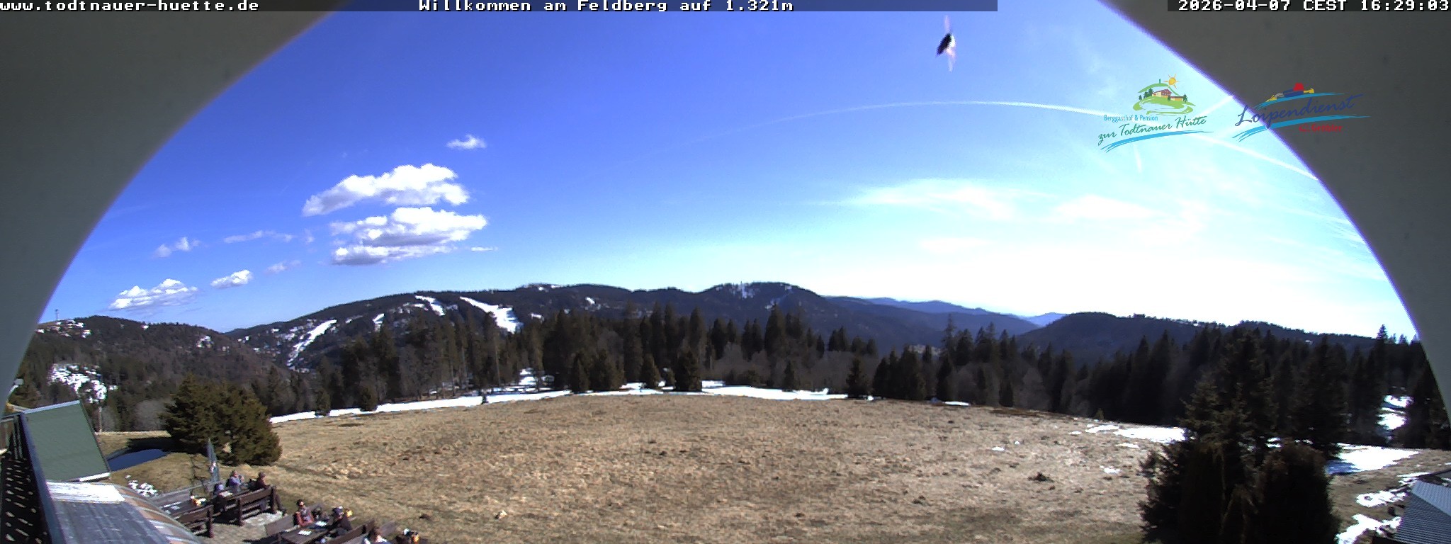 Archiv Foto Webcam Todtnauer Hütte, Schwarzwald