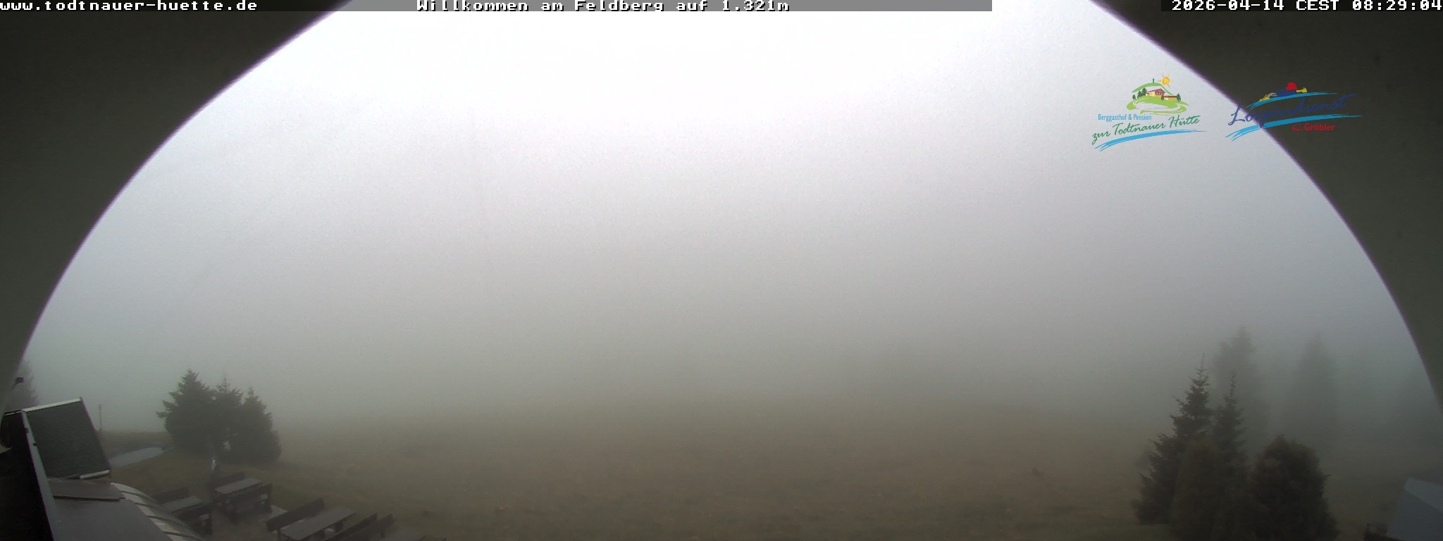 Archiv Foto Webcam Todtnauer Hütte, Schwarzwald