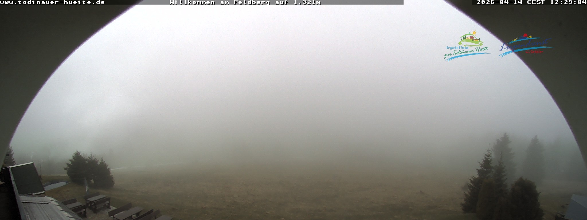 Archiv Foto Webcam Todtnauer Hütte, Schwarzwald