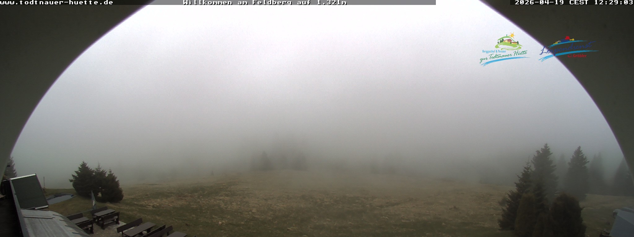 Archiv Foto Webcam Todtnauer Hütte, Schwarzwald