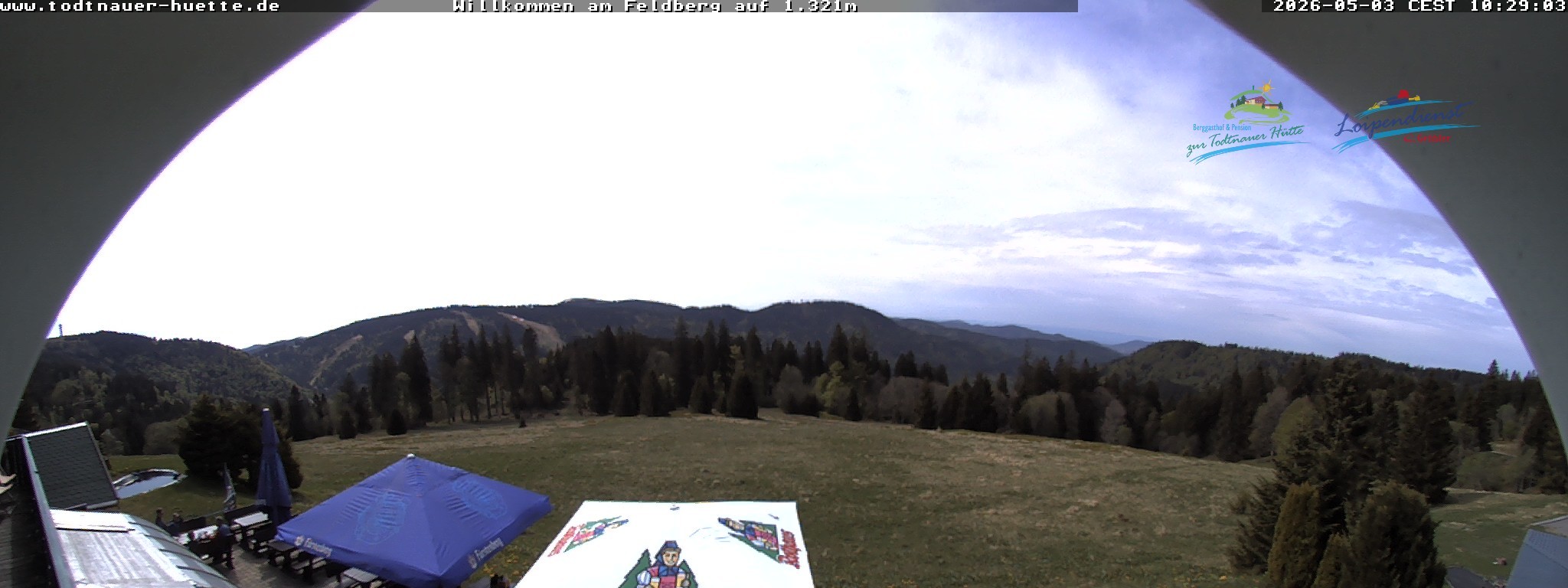 Archived image Webcam Todtnau mountain hut, Black Forest