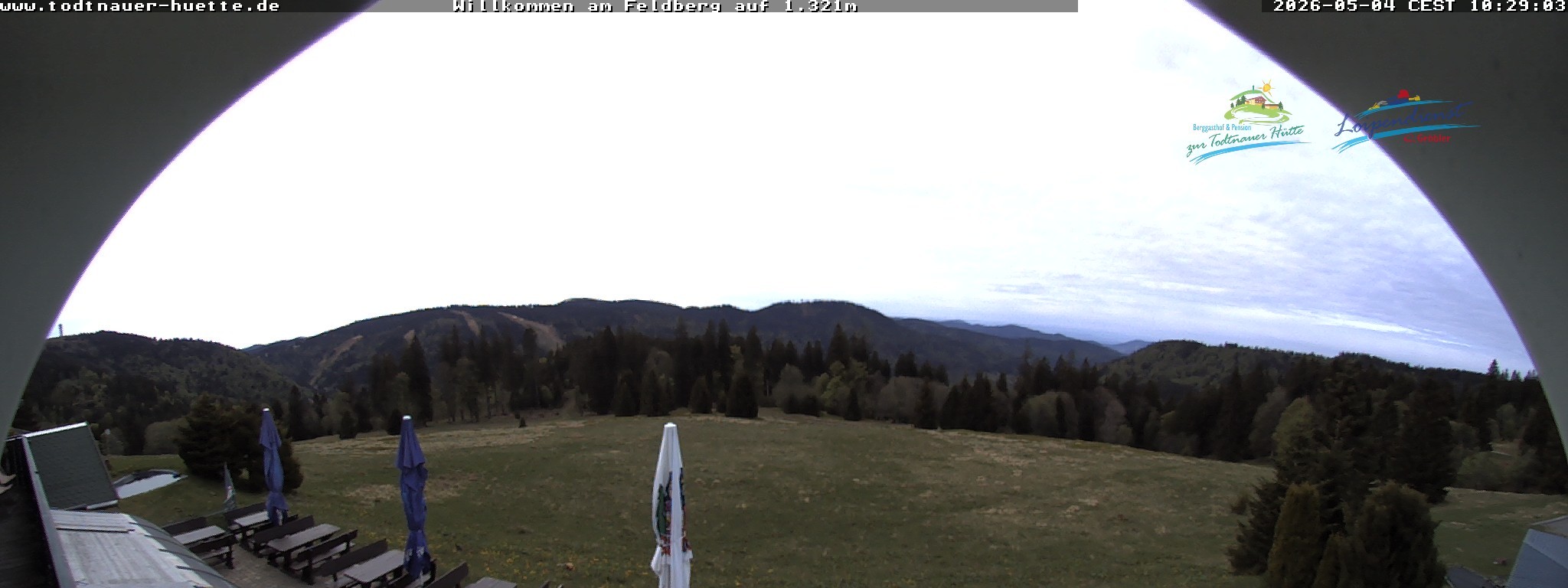 Archiv Foto Webcam Todtnauer Hütte, Schwarzwald
