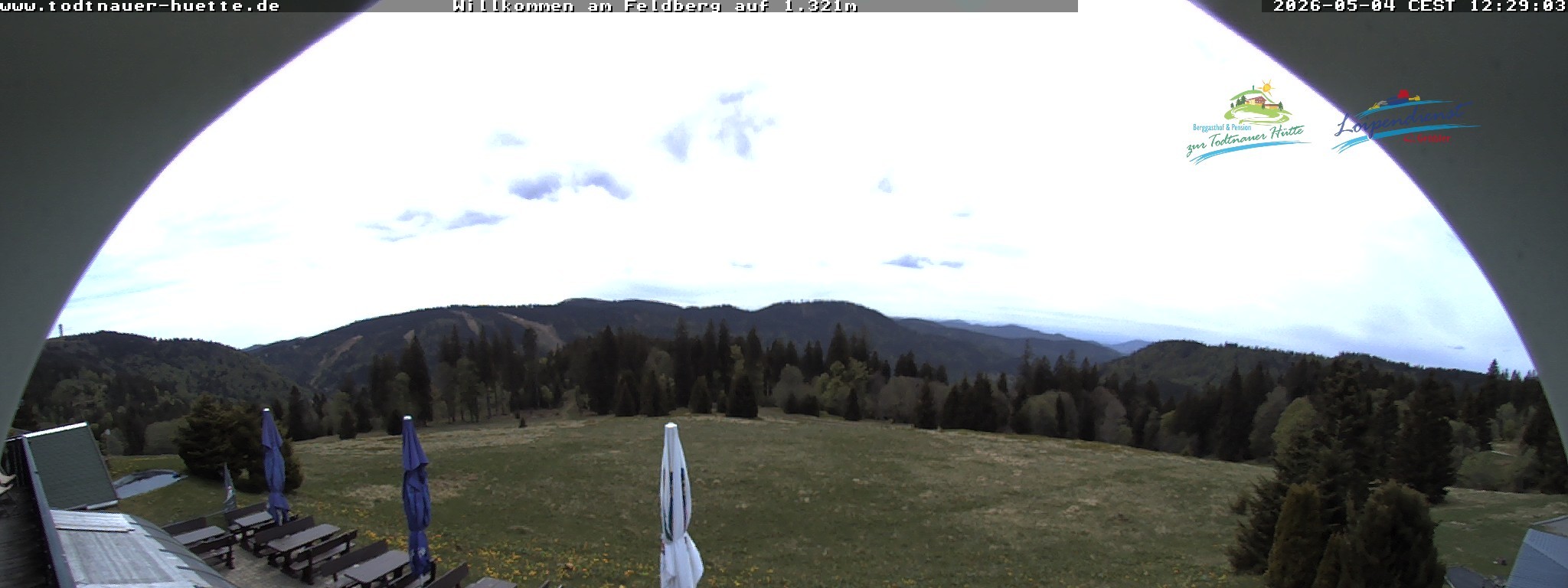 Archiv Foto Webcam Todtnauer Hütte, Schwarzwald