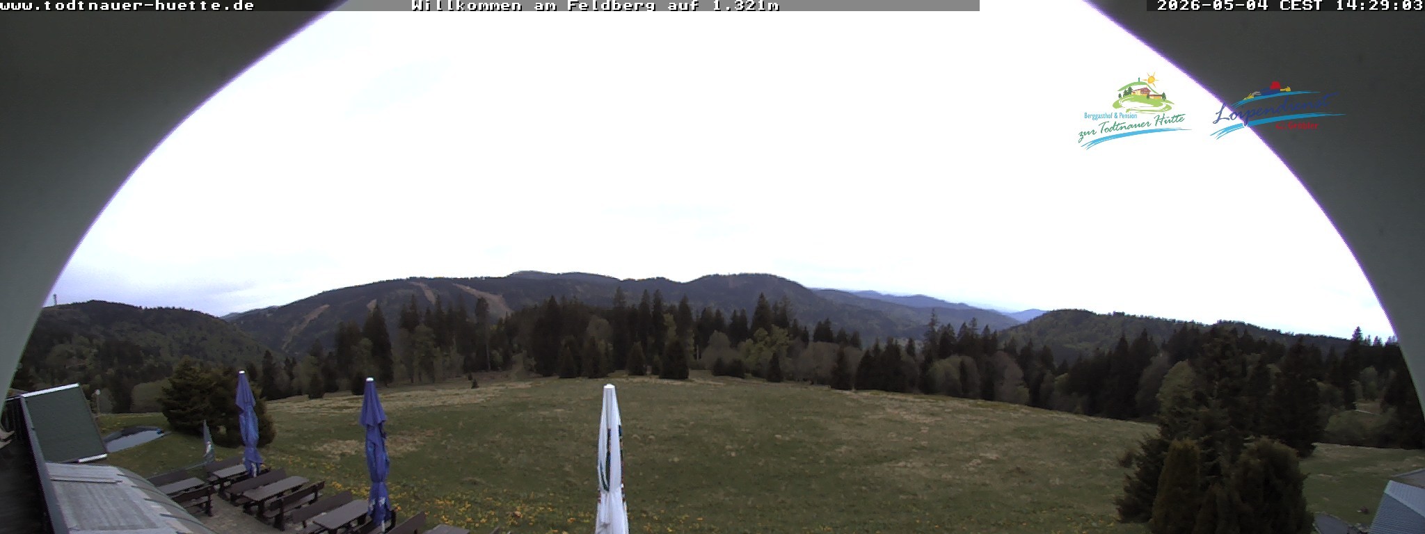 Archiv Foto Webcam Todtnauer Hütte, Schwarzwald