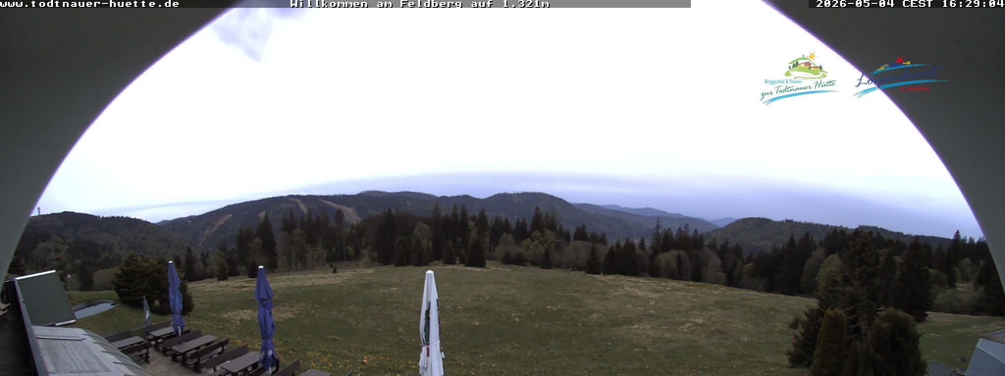 Archiv Foto Webcam Todtnauer Hütte, Schwarzwald