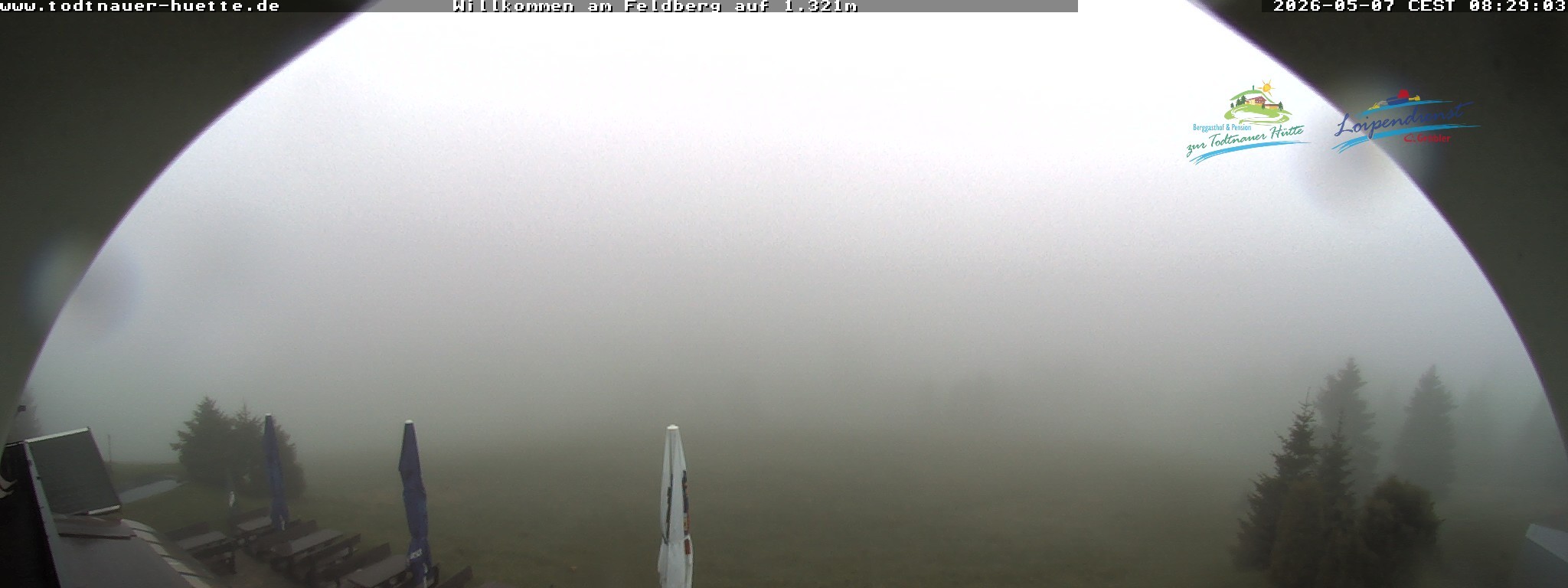 Archived image Webcam Todtnau mountain hut, Black Forest