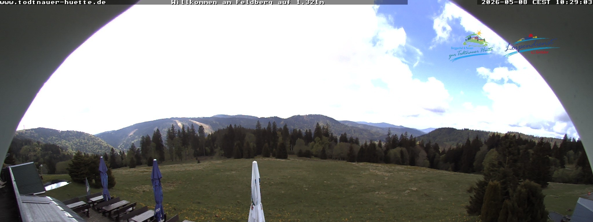 Archiv Foto Webcam Todtnauer Hütte, Schwarzwald