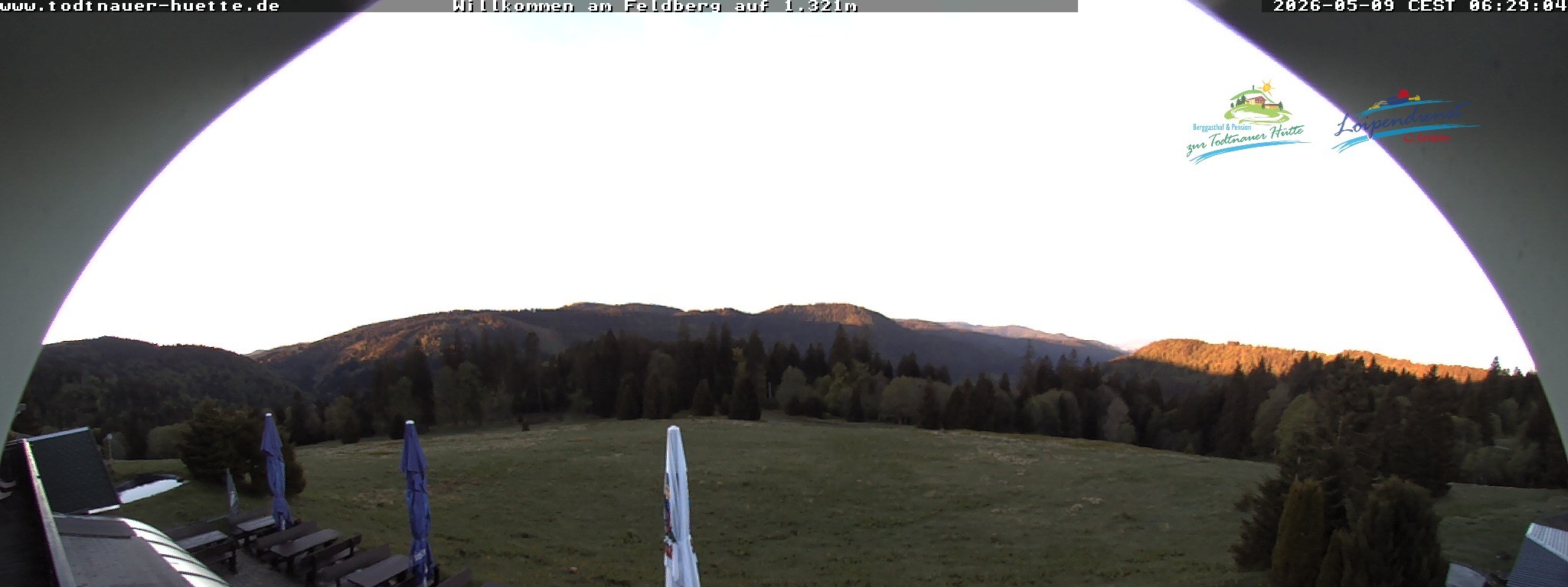 Archiv Foto Webcam Todtnauer Hütte, Schwarzwald