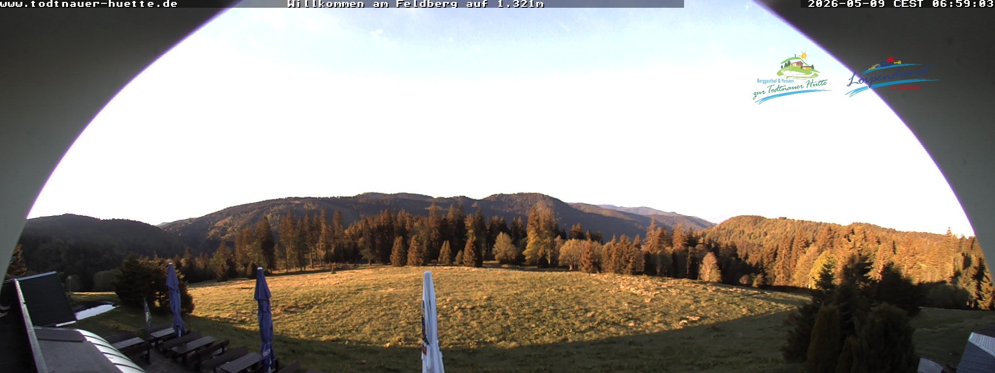 Archiv Foto Webcam Todtnauer Hütte, Schwarzwald