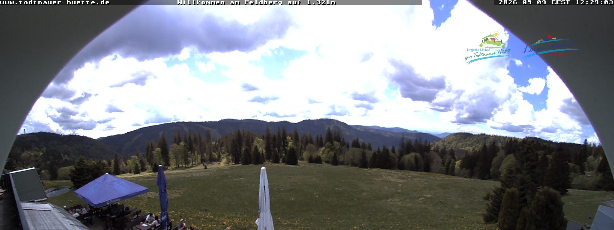 Archiv Foto Webcam Todtnauer Hütte, Schwarzwald