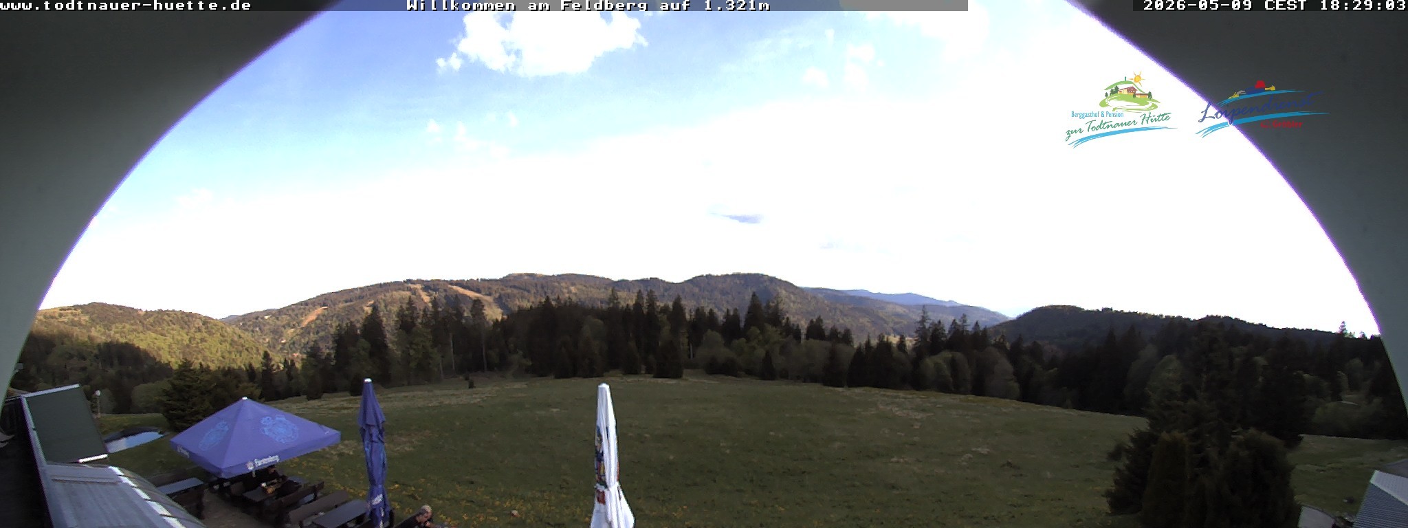 Archiv Foto Webcam Todtnauer Hütte, Schwarzwald