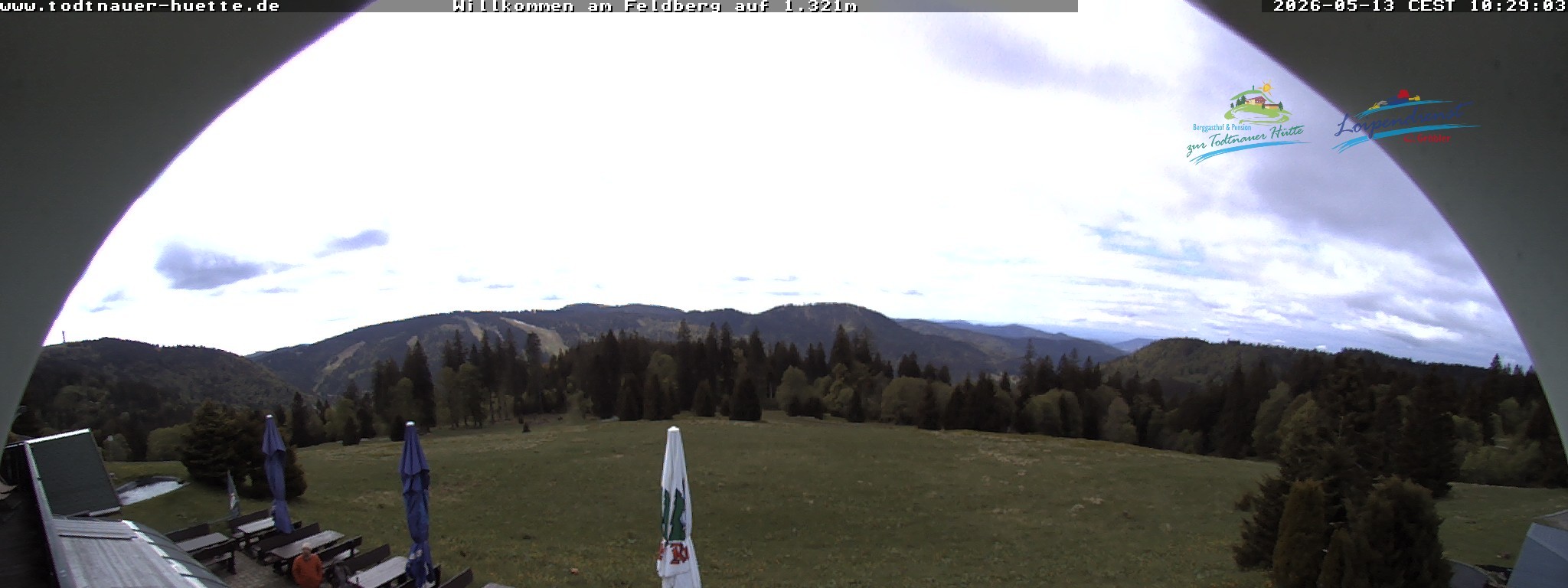 Archived image Webcam Todtnau mountain hut, Black Forest