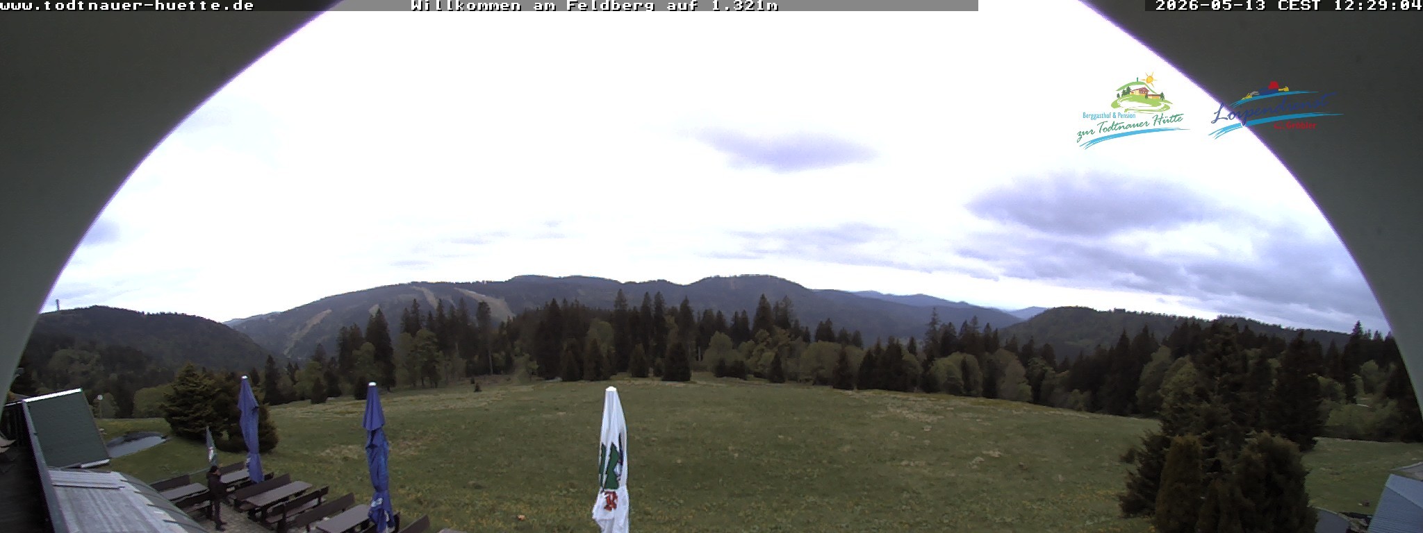 Archived image Webcam Todtnau mountain hut, Black Forest
