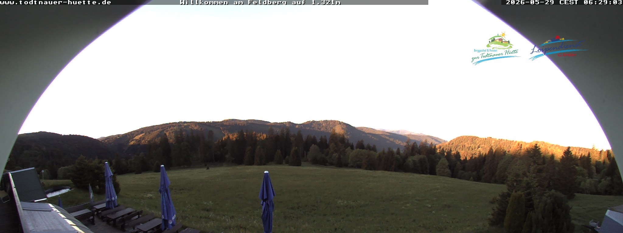 Archiv Foto Webcam Todtnauer Hütte, Schwarzwald