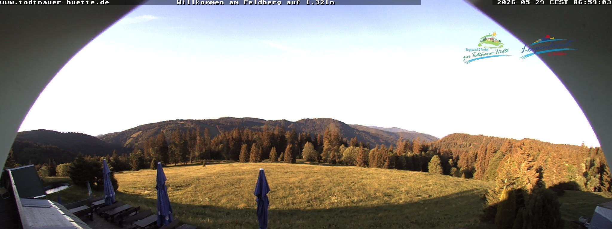 Archiv Foto Webcam Todtnauer Hütte, Schwarzwald