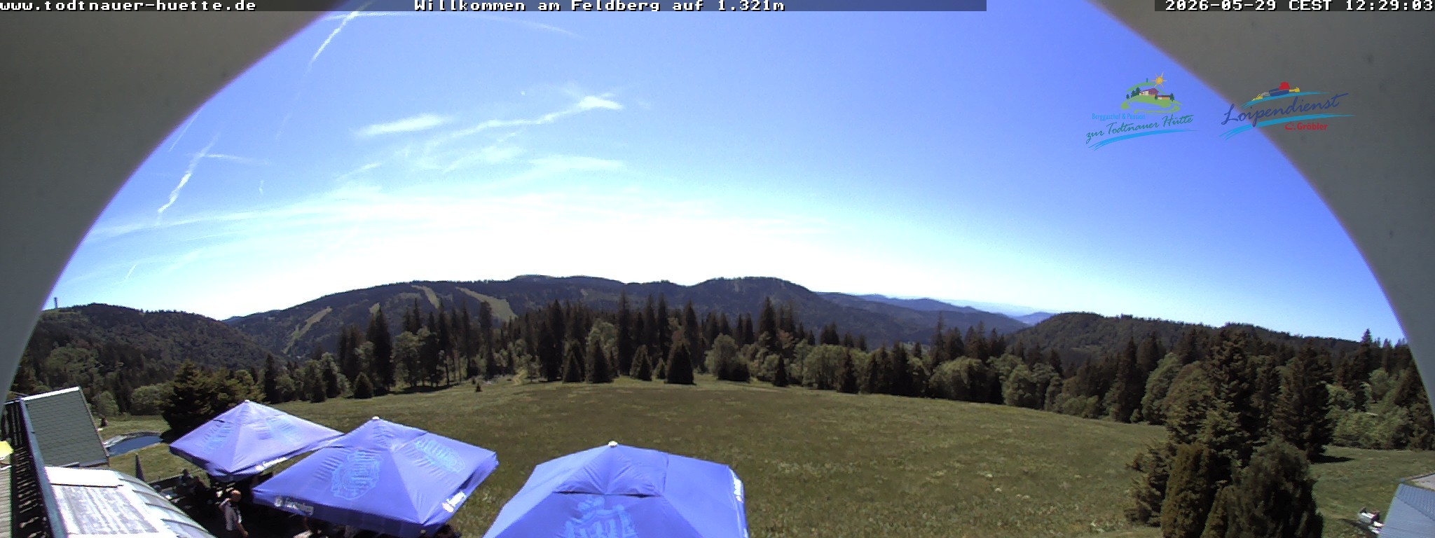 Archiv Foto Webcam Todtnauer Hütte, Schwarzwald