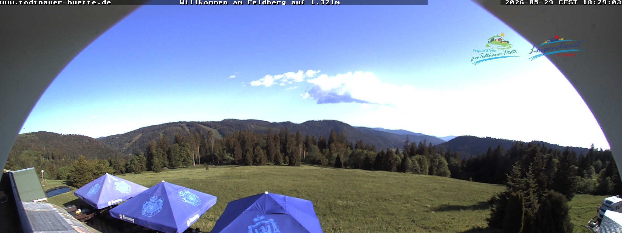 Archiv Foto Webcam Todtnauer Hütte, Schwarzwald