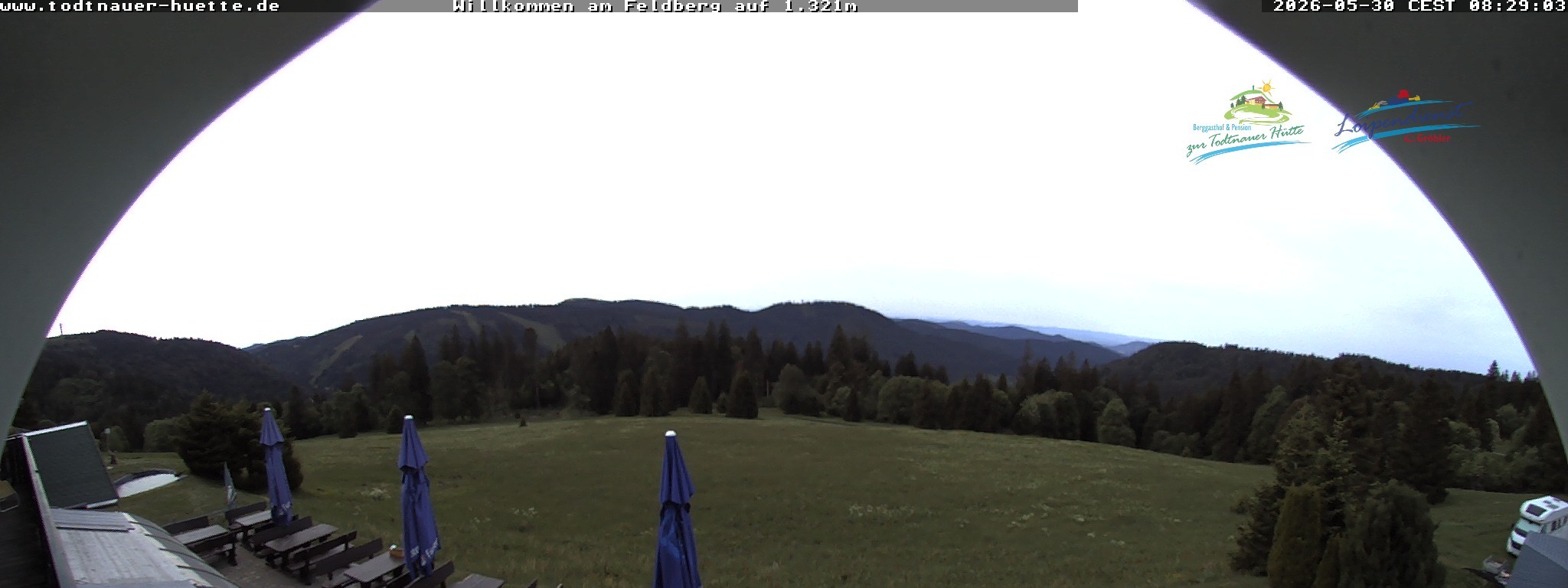 Archiv Foto Webcam Todtnauer Hütte, Schwarzwald