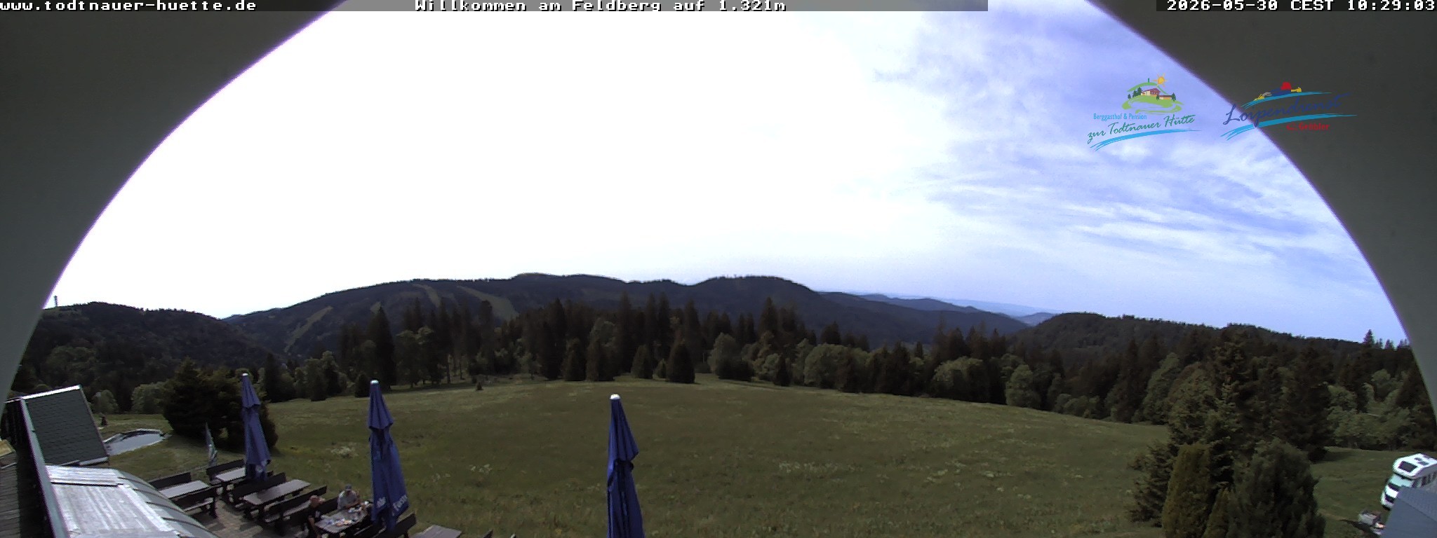 Archiv Foto Webcam Todtnauer Hütte, Schwarzwald